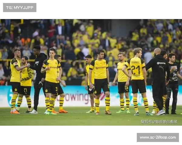 多特蒙德大黄蜂崛起历程揭秘球队青春风暴引领未来挑战 多特蒙德大黄蜂崛起历程揭秘球队青春风暴引领未来挑战